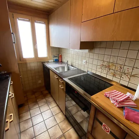 Apartment Panoramalodge Aatos Riederalp