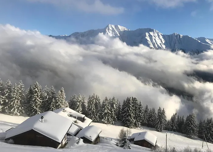 Panoramalodge Aatos Apartment Riederalp