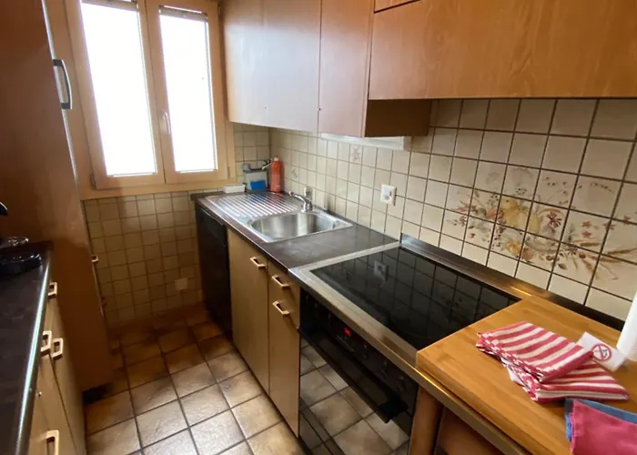 Apartment Panoramalodge Aatos Riederalp
