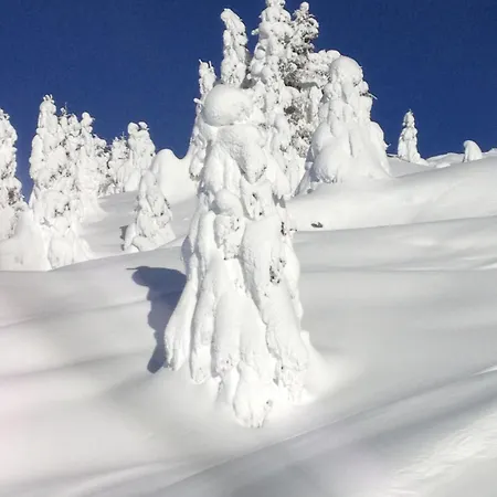 Panoramalodge Aatos * Riederalp